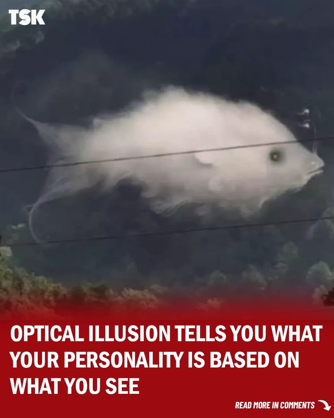 Find Out If You Have Commitment Issues by Taking This Optical Illusion ‘Test’